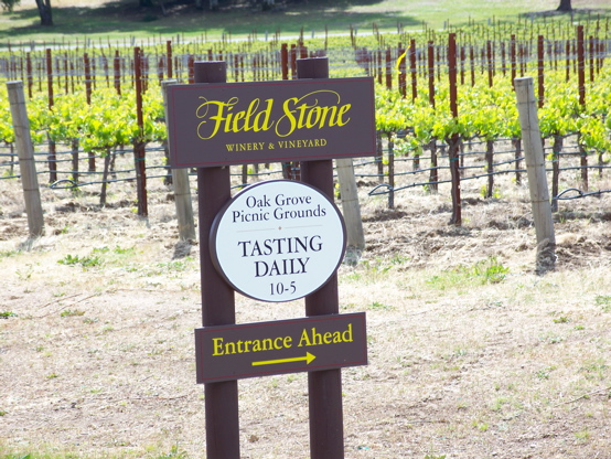 Fieldstone directional made from MDO plywood & vinyl graphics