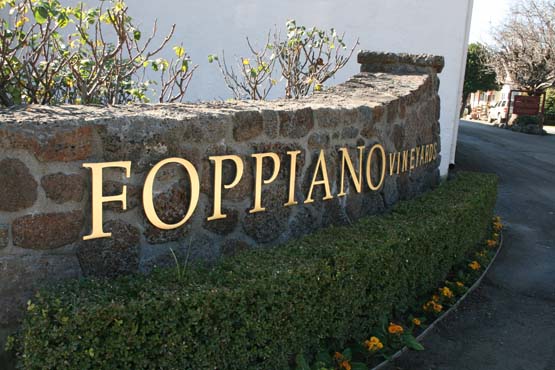 1/4" brushed aluminum letters pin mounted off a rock wall
